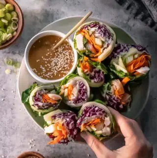 top view of vietnamese spring rolls with peanut sauce