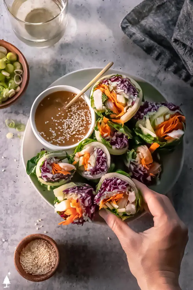 top view of vietnamese spring rolls with peanut sauce 