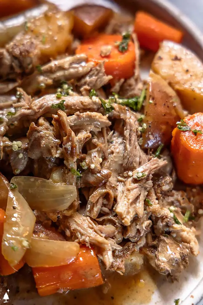 closer view of pork shoulder roast instant pot