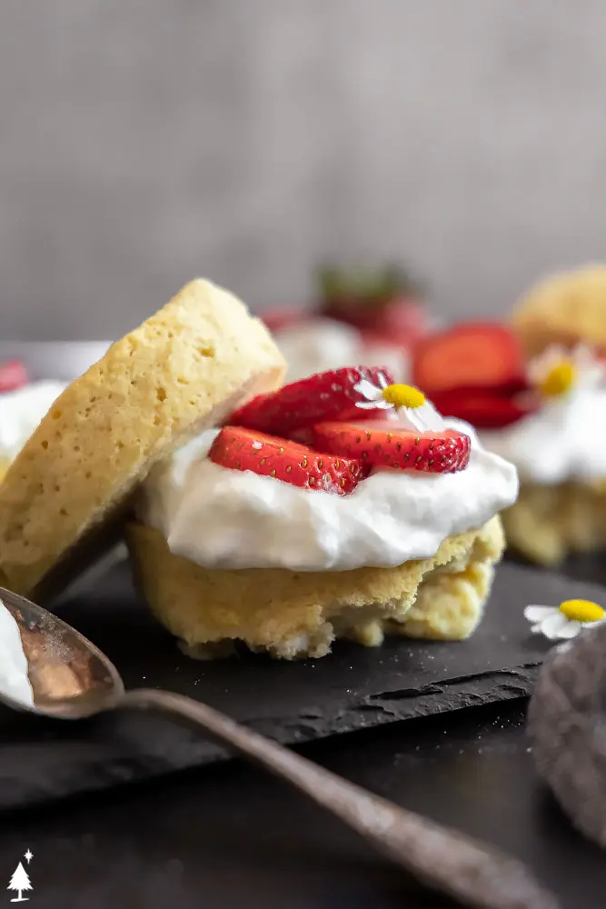 closer view of strawberry shortcake dessert