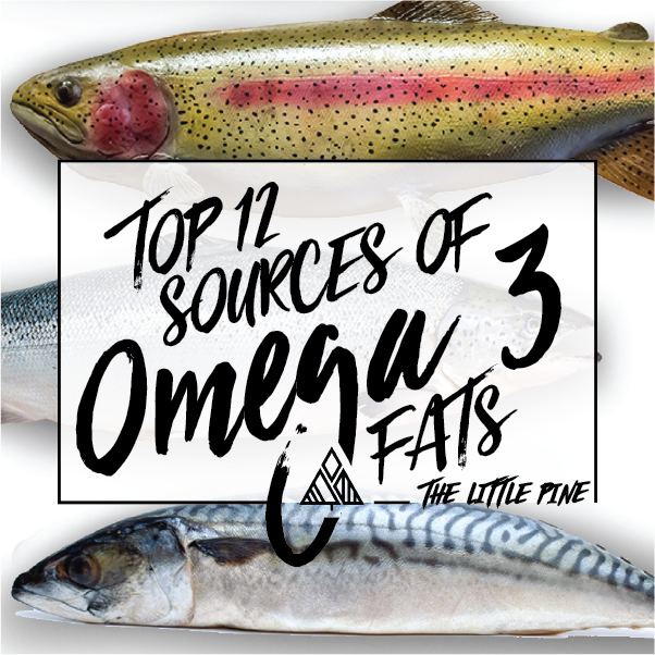 12 Foods High In Omega 3 Fats