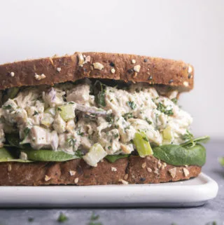 greek yogurt chicken salad sandwich