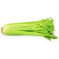 low carb vegetables, celery