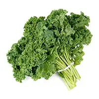 low carb vegetables, kale