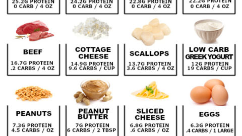Infographic of High protein low carb foods, including a picture of each food and their carb count