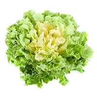 low carb vegetables, lettuce