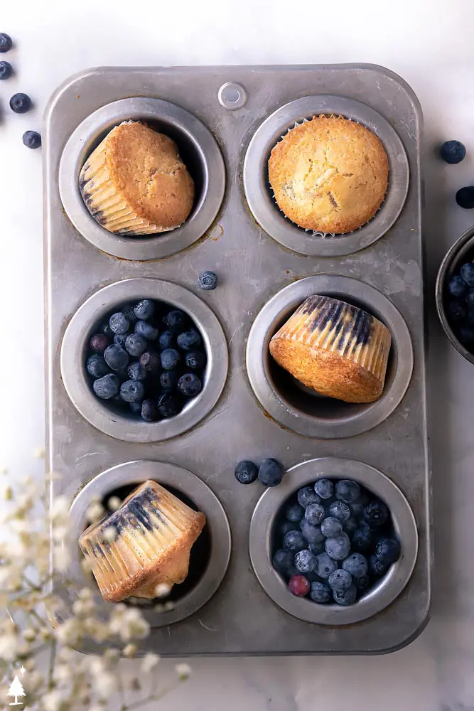 top view of keto blueberry muffins in a muffin pan