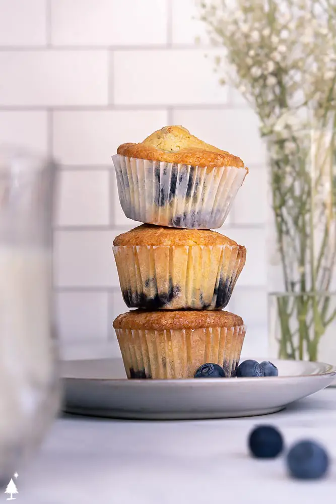 a stack of best blueberry muffin recipe on a plate