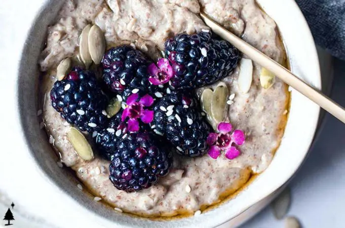 top view of low carb oatmeal topped with berries