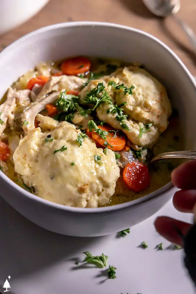closer view of gluten free chicken and dumplings in a bowl