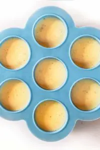 instant pot egg bite silicone mold