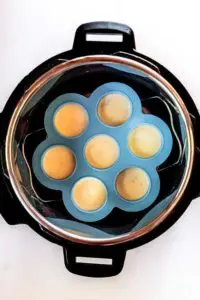 cooking egg bites in the instant pot