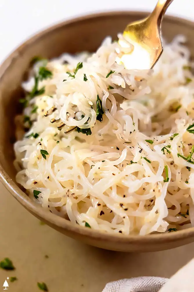 closer view of shirataki noodles recipe