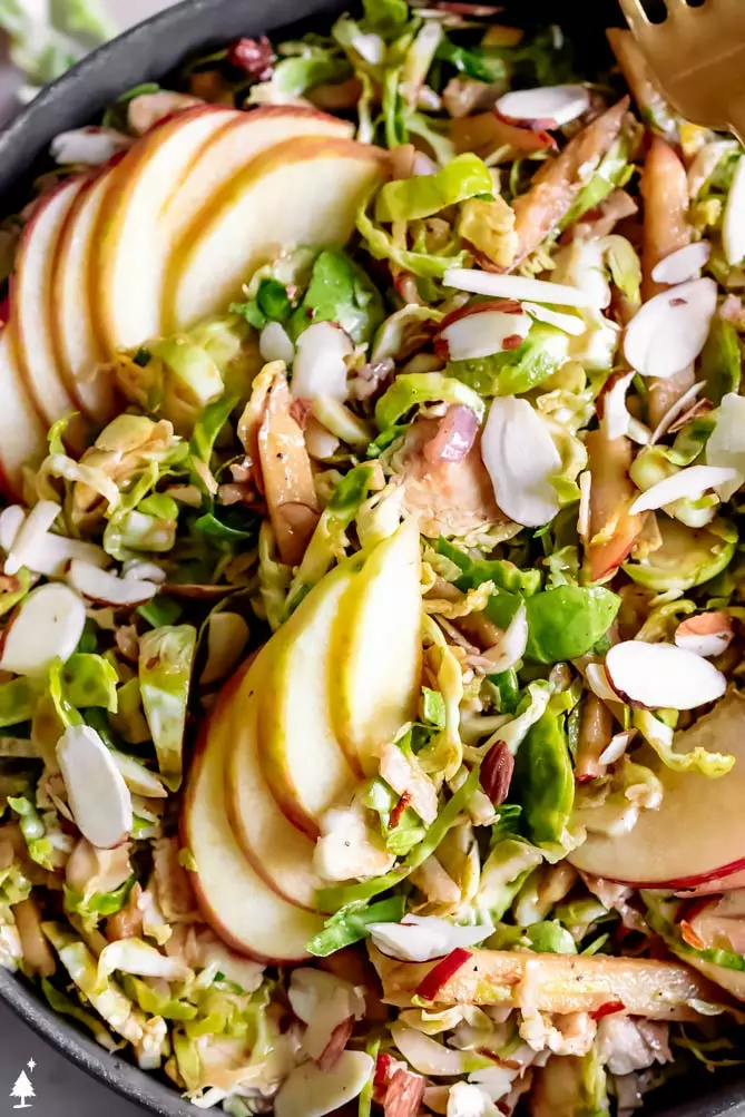 shaved brussels sprouts salad in a bowl with apple slices