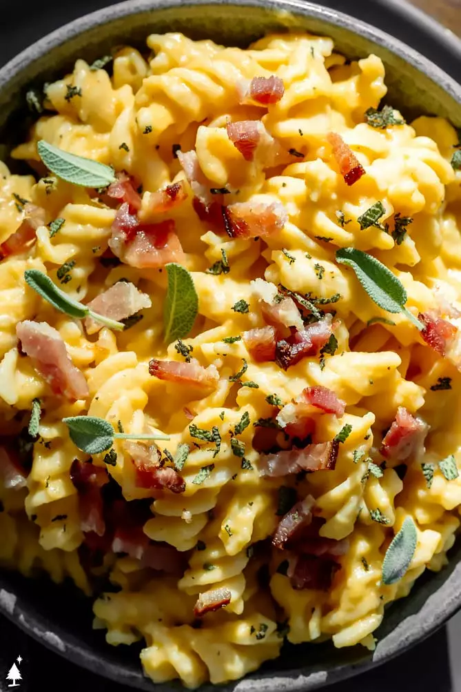 baked butternut squash pasta sauce over noodles in a bowl