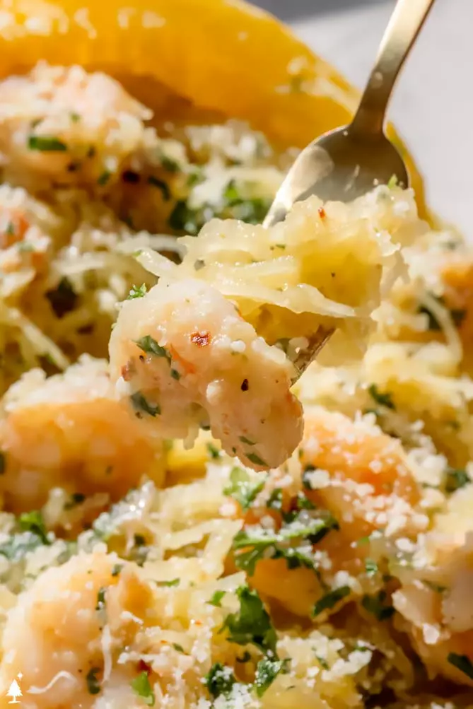 shrimp and spaghetti squash twirled around a fork