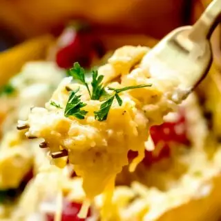 fork full of boursin baked spaghetti squash with parsley on top