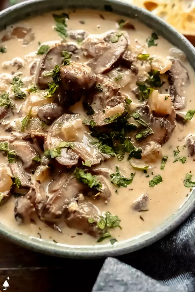 creamy mushroom soup with brad and parsley on top