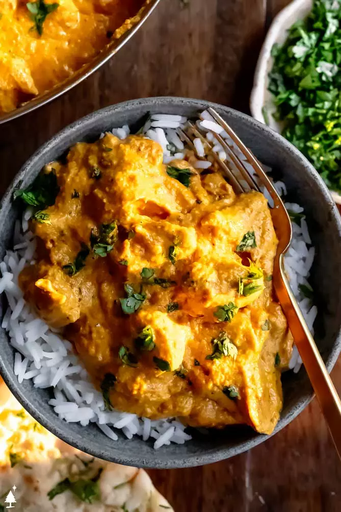 korma curry with chicken in a bowl over rice 
