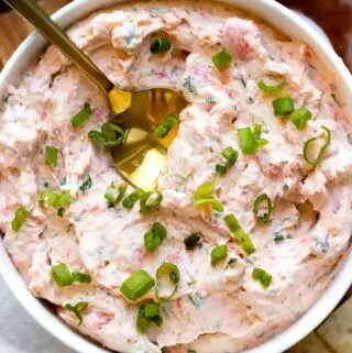 salmon dip with green onions on top