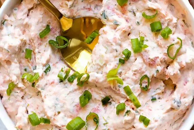 salmon dip with green onions on top