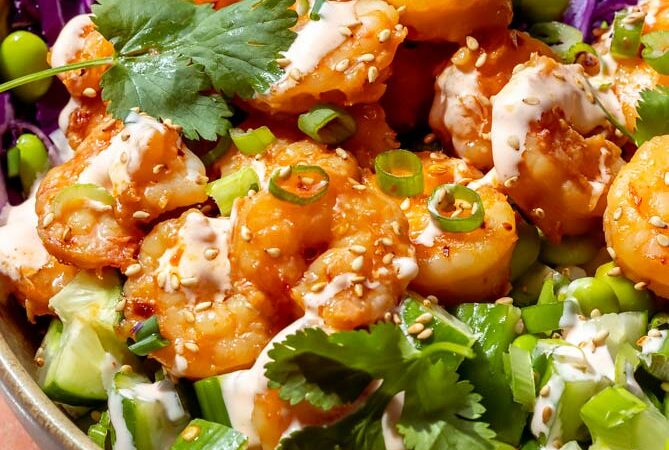 shrimp rice bowl with spicy sauce on top
